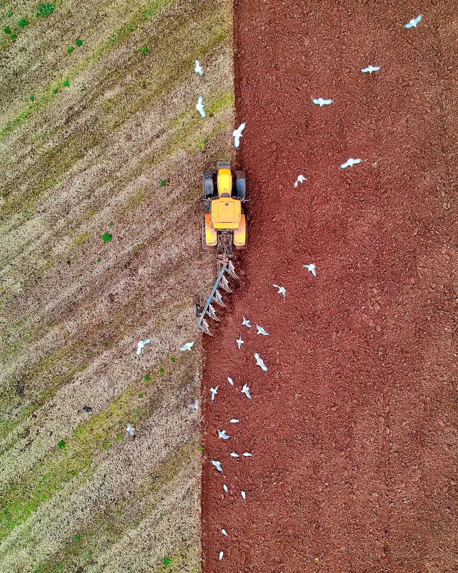 Área rural e agronegócio